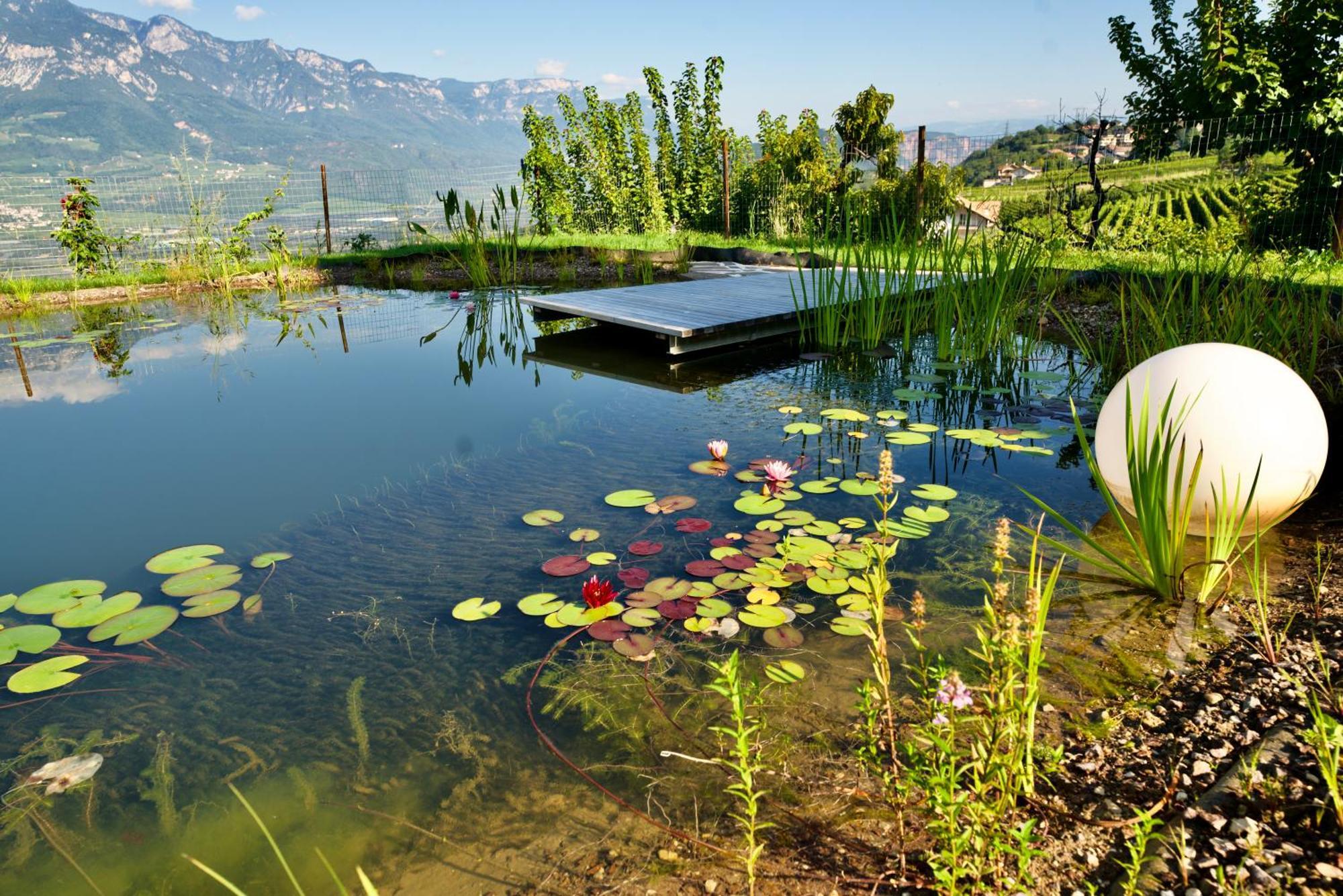 Villa Burgunderhof à Montagna Extérieur photo